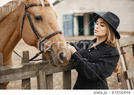 Woman touching a brown horse behinde the fence on a farm 87656846