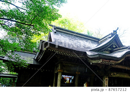 天岩戸神社　九州　宮崎県 87657212