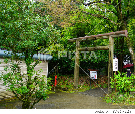 天岩戸神社　九州　宮崎県 87657225