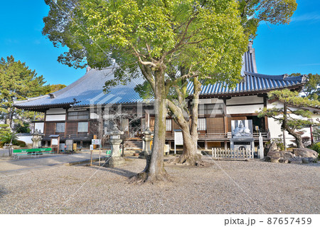 【大樹寺】 愛知県岡崎市鴨田町広元 【大樹寺】 愛知県岡崎市鴨田町広元 87657459
