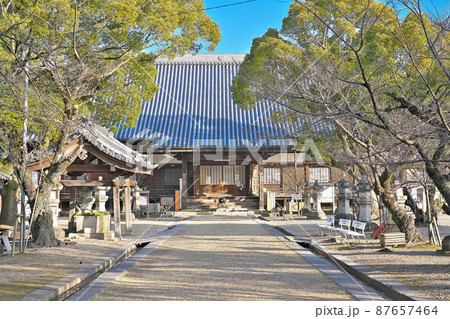 【大樹寺】 愛知県岡崎市鴨田町広元 【大樹寺】 愛知県岡崎市鴨田町広元 87657464