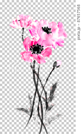水墨画技法で描いひなげし 87657568