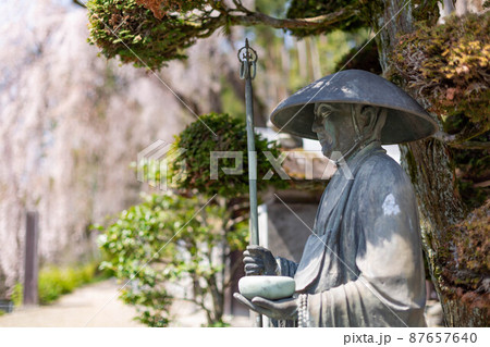 日本】青梅市、お寺の脇に佇む仏教僧侶の銅像と満開の枝垂れ桜の背景の写真素材 [87657640] - PIXTA