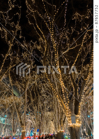 光のページェント　定禅寺通り（宮城県仙台市） 87657752