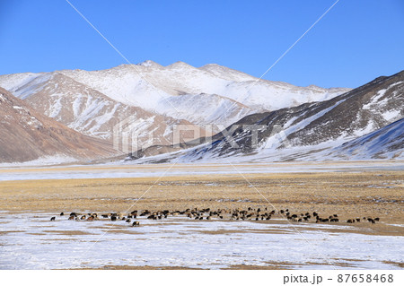 パミール高原　絶景 87658468