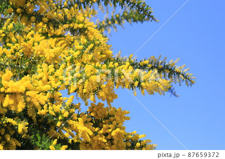 都立東綾瀬公園　サービスセンターそばの時計 87659372