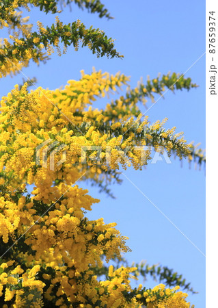 都立東綾瀬公園 サービスセンターそばの時計 都立東綾瀬公園 サービスセンターそばの時計 87659374
