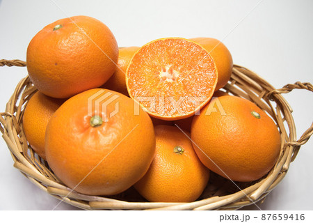 せとか　柑橘類 87659416