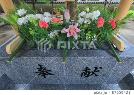 現人神社の花手水 現人神社の花手水 87659428