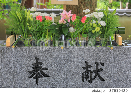現人神社の花手水 現人神社の花手水 87659429