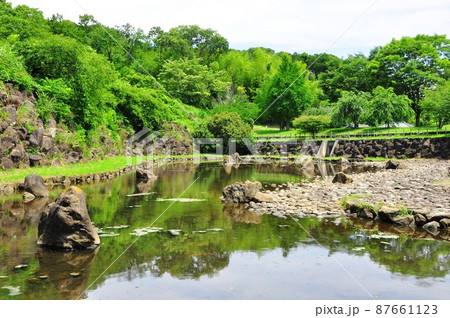 神奈川県茅ケ崎市 県立茅ヶ崎里山公園 中ノ谷池と新緑 神奈川県茅ケ崎市 県立茅ヶ崎里山公園 中ノ谷池と新緑 87661123