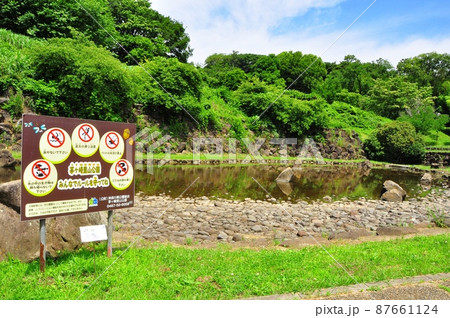 神奈川県茅ケ崎市　県立茅ヶ崎里山公園　中ノ谷池と新緑と観光案内板 87661124