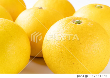 土佐文旦 87661276