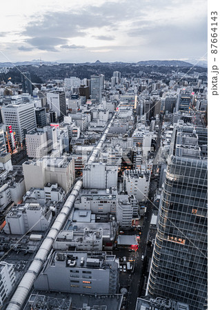 仙台市中心街 一望(宮城県仙台市) 仙台市中心街 一望(宮城県仙台市) 87664143