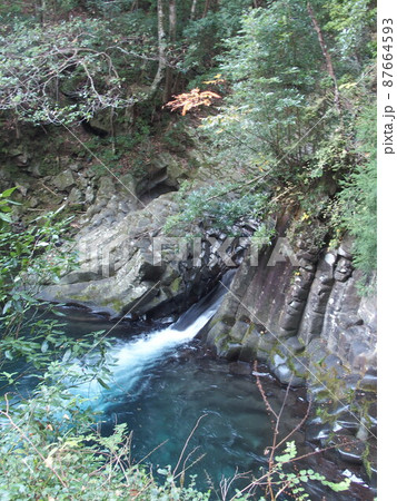 河津七滝 87664593