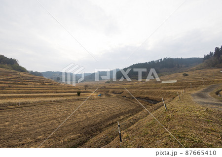 日本の岡山県美咲町大垪和西の美しい棚田 87665410