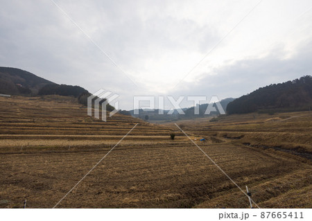 日本の岡山県美咲町大垪和西の美しい棚田 87665411