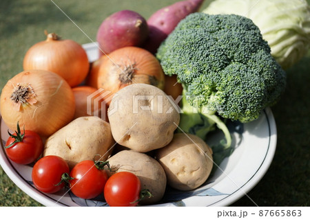 緑黄色野菜 緑黄色野菜 87665863