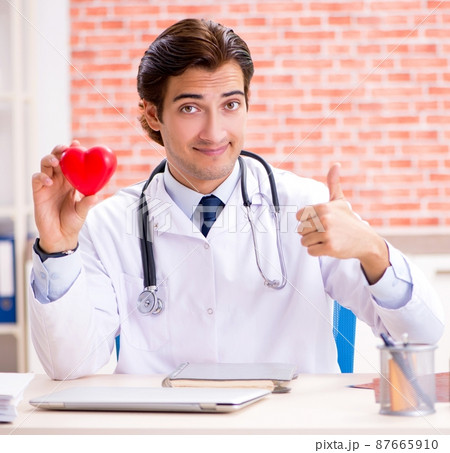 Young doctor working in hospital 87665910