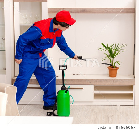 Young contractor doing pest control at home 87666067