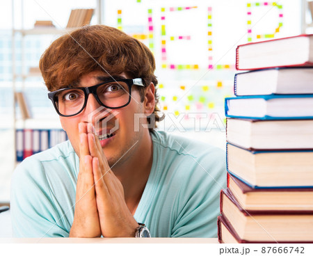 The student preparing for university exams 87666742