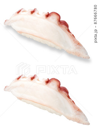 寿司　蒸しタコ　影アリ　影ナシ 87666780
