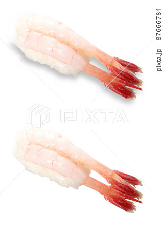 寿司　甘えび　影アリ　影ナシ 87666784
