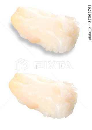寿司 つぶ貝 影アリ 影ナシ 寿司 つぶ貝 影アリ 影ナシ 87666791
