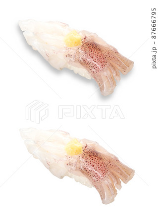 寿司 イカげそ 影アリ 影ナシ 寿司 イカげそ 影アリ 影ナシ 87666795