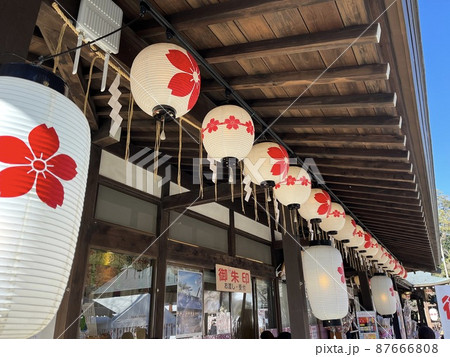 櫻木神社 87666808