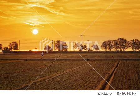 夕日の染まる田園風景 87666967