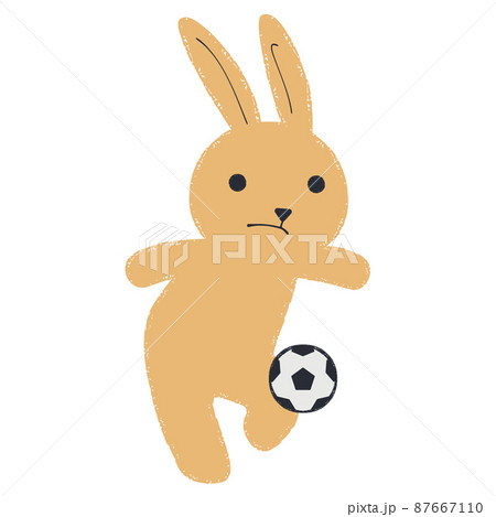 サッカーをするウサギのイラスト 87667110