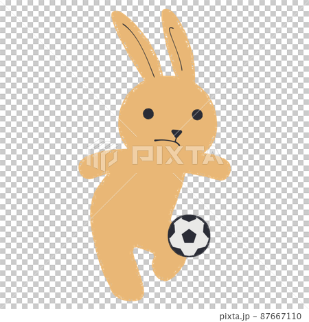 サッカーをするウサギのイラスト 87667110