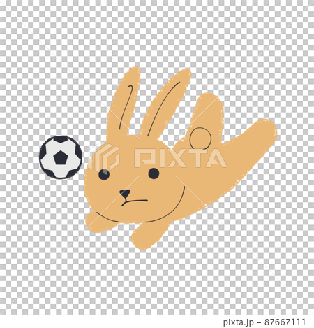 サッカーをするウサギのイラスト 87667111