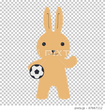 サッカーボールを持ってポーズをとるウサギのイラスト 87667112