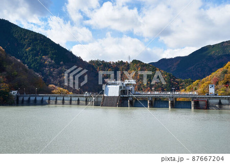静岡県　井川ダムと井川湖の紅葉 87667204