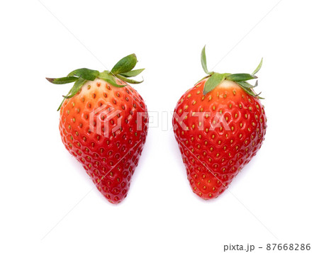 イチゴ やよいひめ イチゴ やよいひめ 87668286