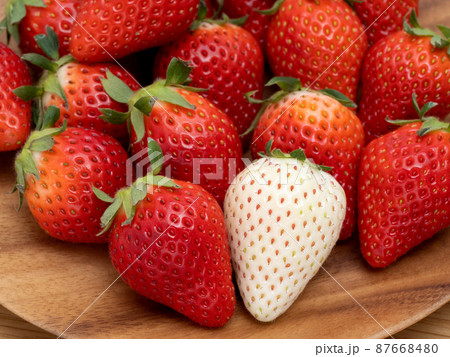 イチゴ　やよいひめとミルキーベリー　 87668480