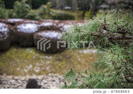 《愛知県》名古屋城　名勝二之丸庭園 87668663