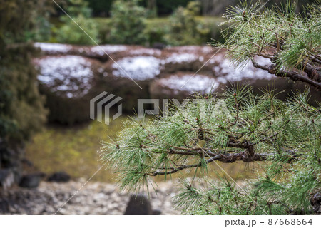 《愛知県》名古屋城　名勝二之丸庭園 87668664
