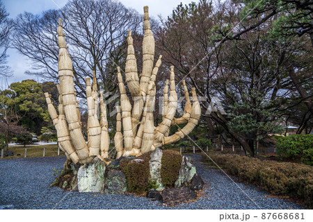 《愛知県》名古屋城　名勝二之丸庭園 87668681