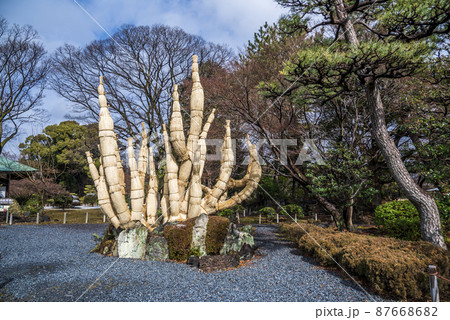 《愛知県》名古屋城　名勝二之丸庭園 87668682