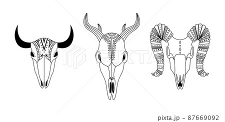 Set of three animal skulls with geometric ornaments. Tribal outline illustration. 87669092