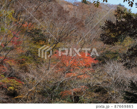 天川村の秋景色 87669865