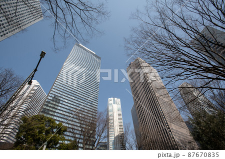 東京都内高層ビル群と街路樹の風景 87670835