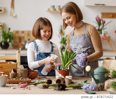 Happy mother and cute daughter planting flowers Happy mother and cute daughter planting flowers 87671422