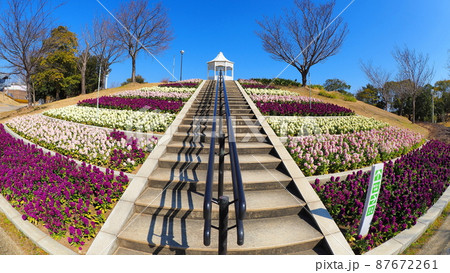 国営明石海峡公園　風の丘2 87672261