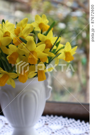 庭の花スイセンを出窓に飾る 87672600