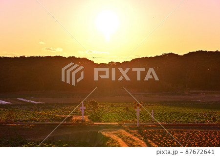 朝日を浴びる第四種踏切 朝日を浴びる第四種踏切 87672641