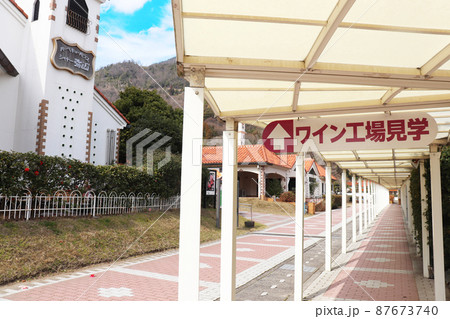 島根県出雲市「島根ワイナリー(ワイン工場見学)」 島根県出雲市「島根ワイナリー(ワイン工場見学)」 87673740